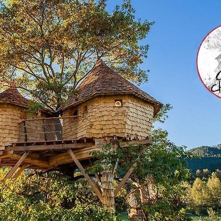 Parthenope - Les Cabanes Du Chene Rouvre Saint-Die-des-Vosges Eksteriør billede
